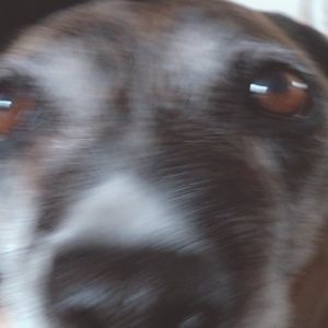 Meet your Posher, Curtis